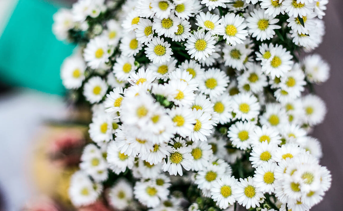 Cute handmade flowers
