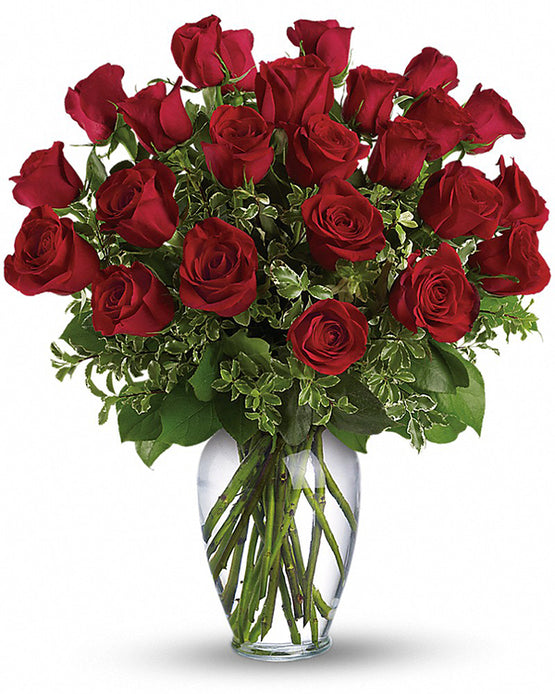 Roses of Romance